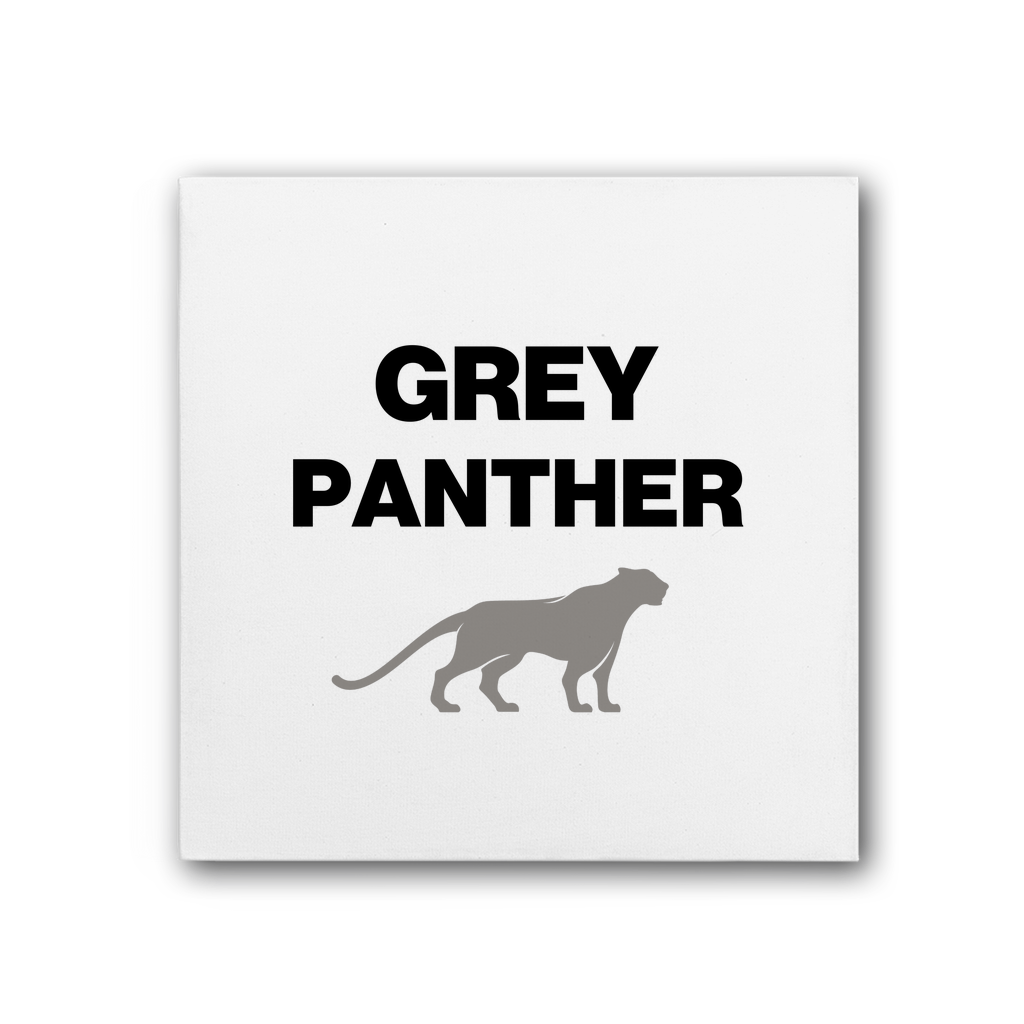 Canvas Grey Panther Premium Stretched Canvas INTERSECTIONAL UK