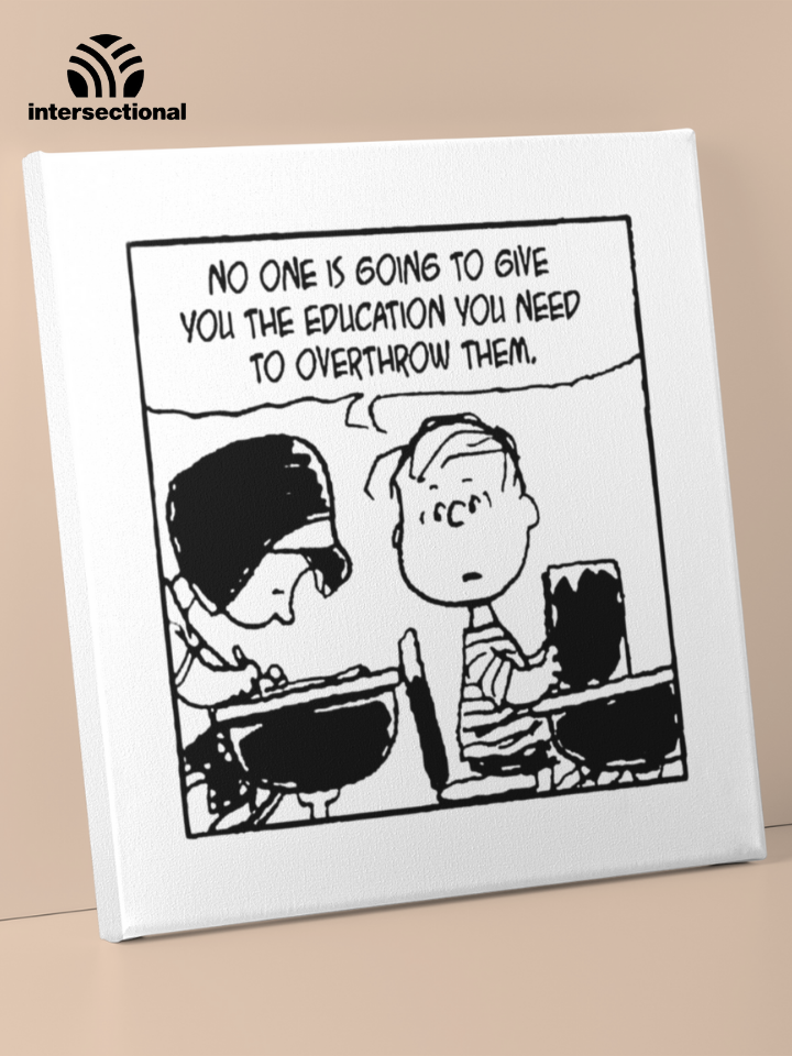 Limited Education System Premium Stretched Canvas