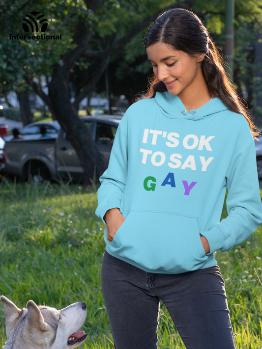 It's Ok To Say Gay Organic Hoodie