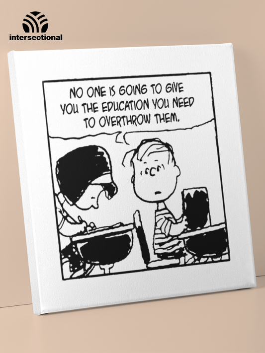 Limited Education System Premium Stretched Canvas